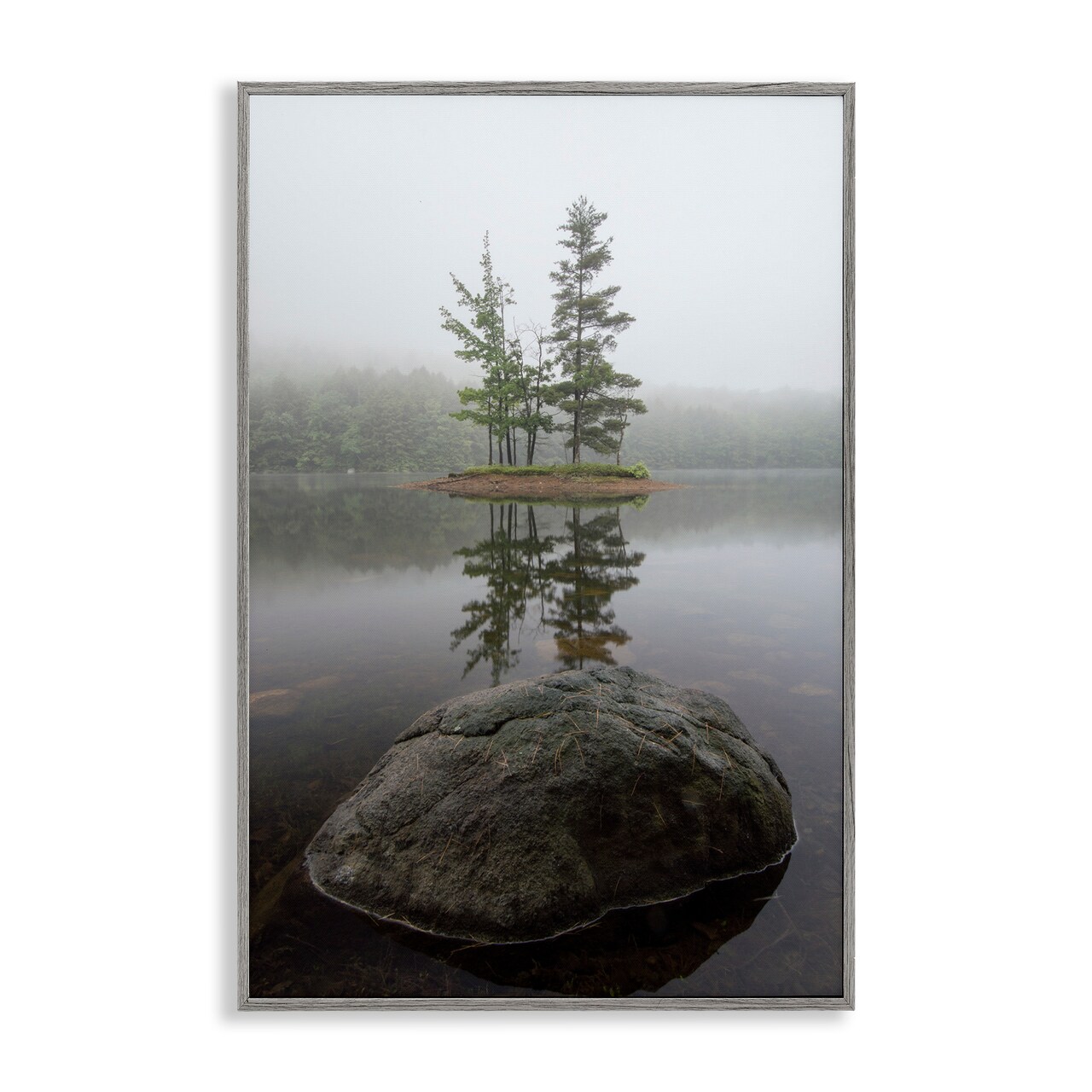 Stupell Industries Duo Trees Lake Reflection Framed Giclee, design by James Rodewald
